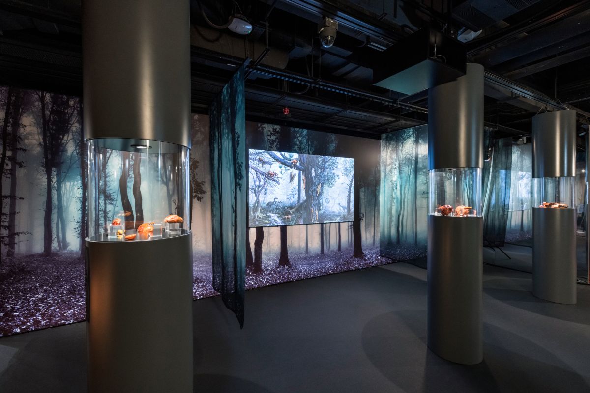 香港城市大學 Indra and Harry Banga 藝廊的「琥珀：波羅的海黃金」展覽。圖片由香港城市大學提供。