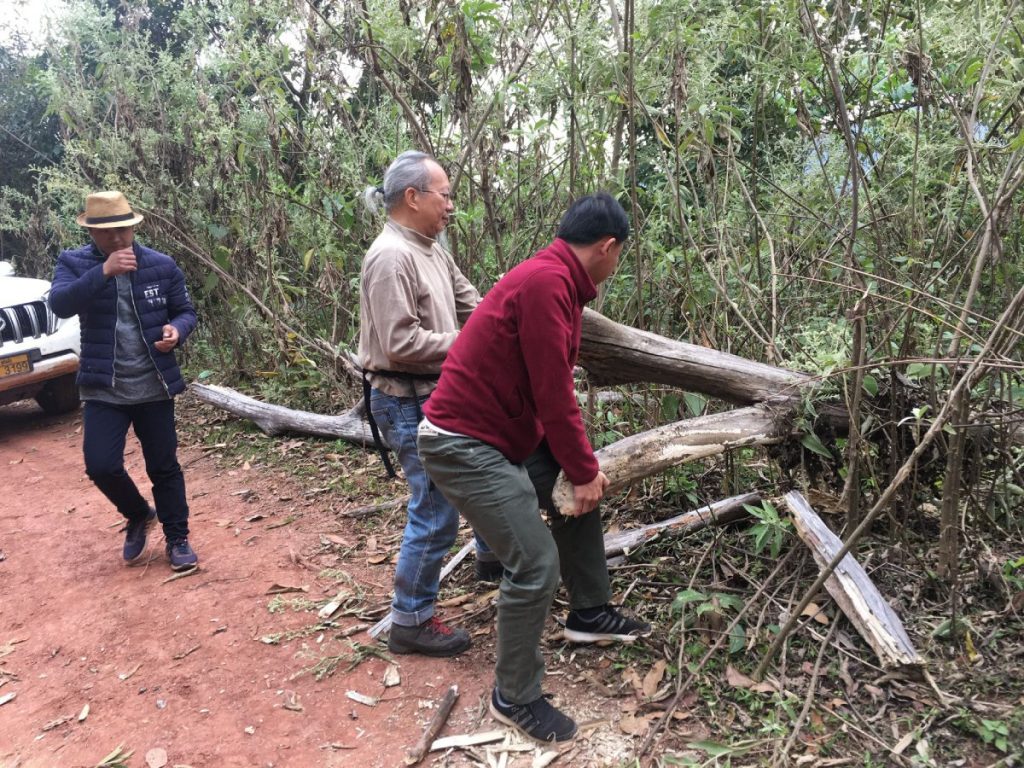 2018葉榮枝到訪老撾扶貧，調查普洱老茶樹資源，幫忙開路（相片由葉榮枝提供）