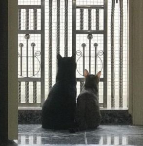 熒火