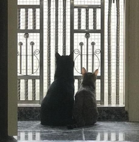 熒火