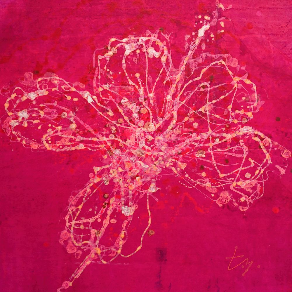 《紅槿》，2025，設色紙本，43 x 43 cm